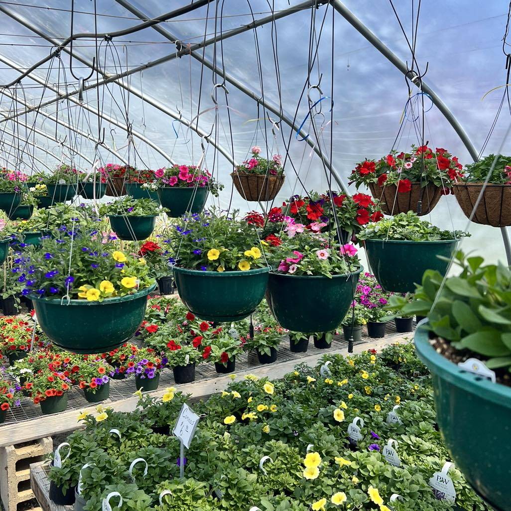 Garden Center | VIP Foliage & Landscaping